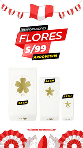 HERRAMIENTA PERFORADORA DE FLORES (3 PIEZAS) / WR